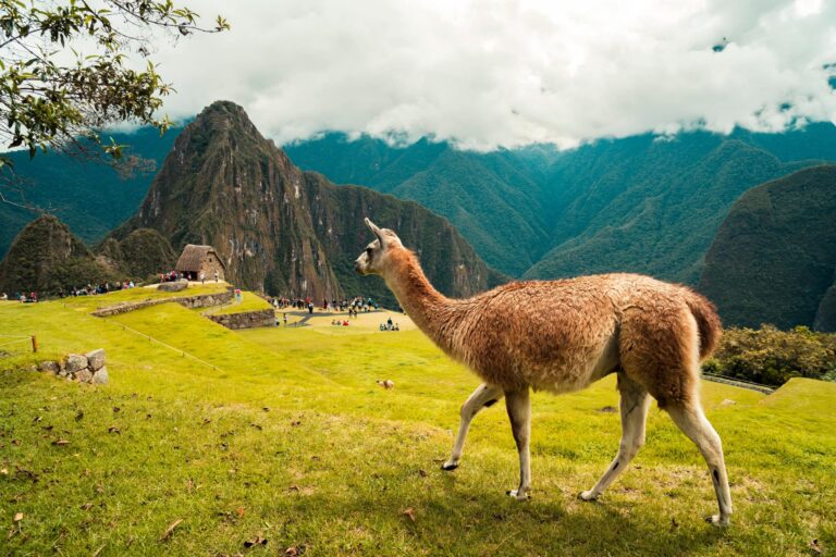 sonqochatravel - Tour Cusco y Machu Picchu 5 días 4 noches
